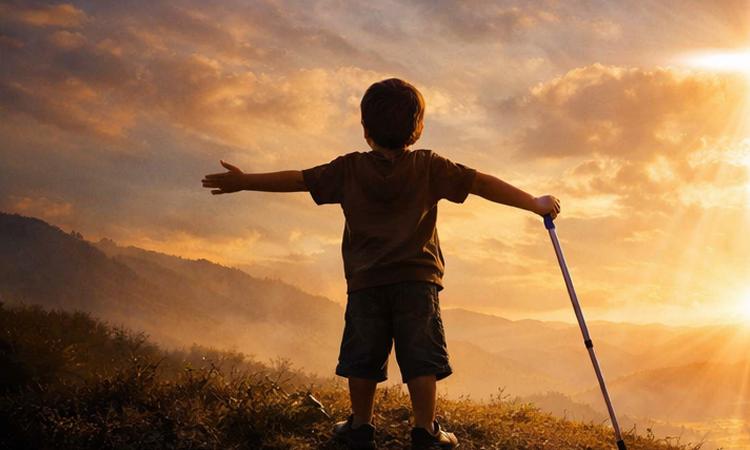 The light of insight